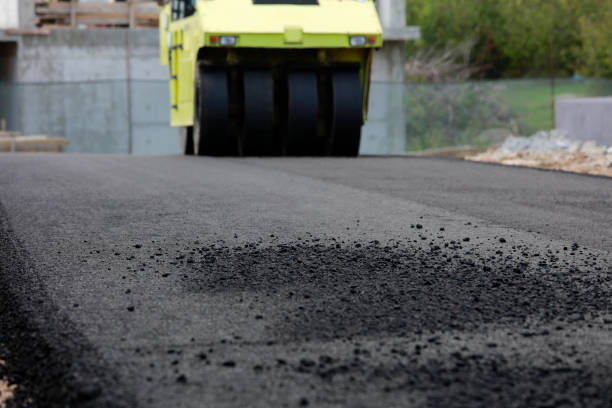 Best Driveway Pavers Contractor  in Cedar Grove, WI