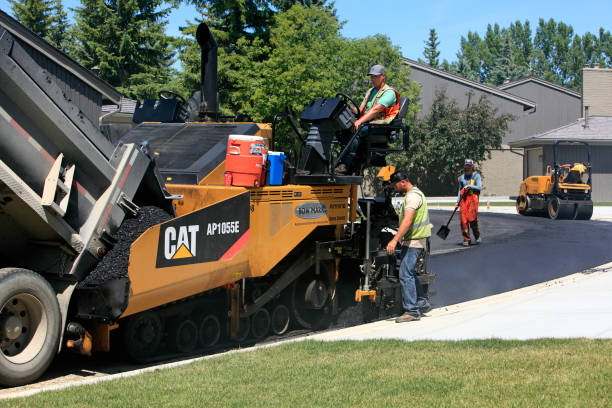 Best Driveway Repair Near Me  in Cedar Grove, WI